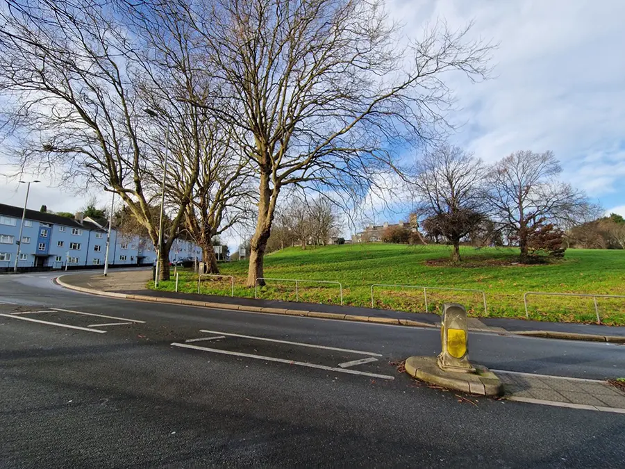 The plane tree PCC want to fell is the far-left tree